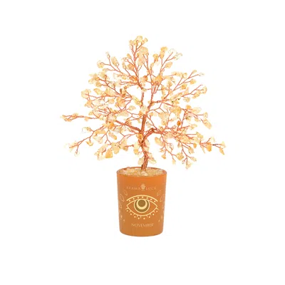 Karma And Luck Yellow / Orange Illuminated Path Citrine November Birthday Tree