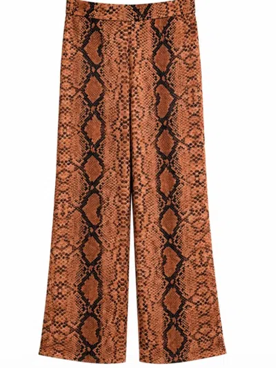 Karmamia Women's Anouk Pants In Desert Snake Print In Brown