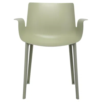 Pre-owned Kartell Piuma Chair In Sage By Piero Lissoni In Brown