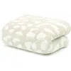 Kashwére Throw