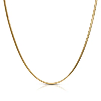 Kasun Women's Flat Snake 4.3mm Chain Necklace – Gold Vermeil