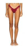 Kat The Label X Revolve Sorrento Thong In Red