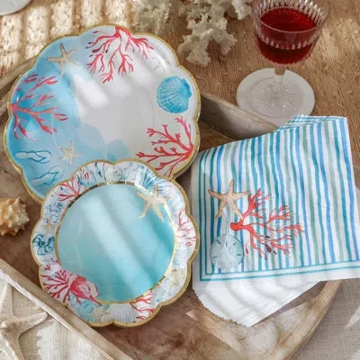 Kate Aspen Beach Party 62 Piece Coastal Party Tableware Set; Birdal Shower Decorations Plates & Napkins; Vibran