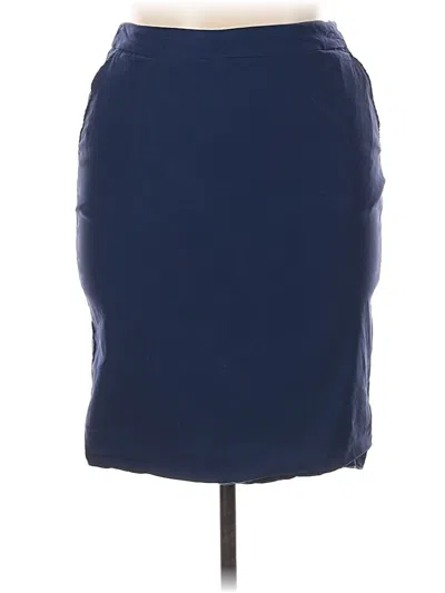 Pre-owned Kate Kasin Casual Skirt In Blue