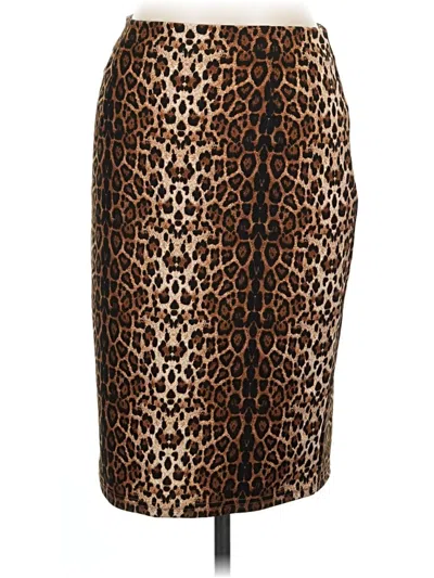 Pre-owned Kate Kasin Casual Skirt In Brown