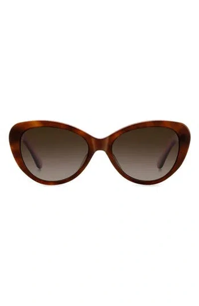 Kate Spade 55mm Josi Cat Eye Sunglasses In Brown