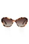Kate Spade Aglaia 54mm Gradient Cat Eye Sunglasses In Beige/ Brown Grad Polarized