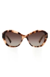 Kate Spade Yolanda/s Ha Yn2 Cat Eye Sunglasses In Beige/ Brown Grad Polarized