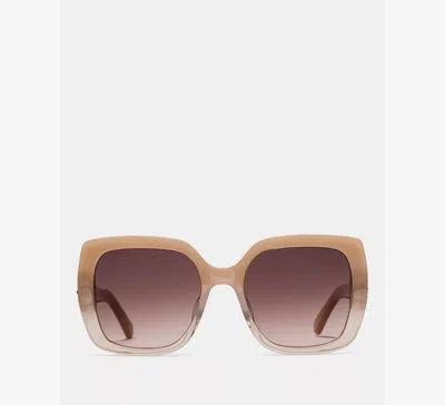 Kate Spade Amaya Sunglasses In Brown
