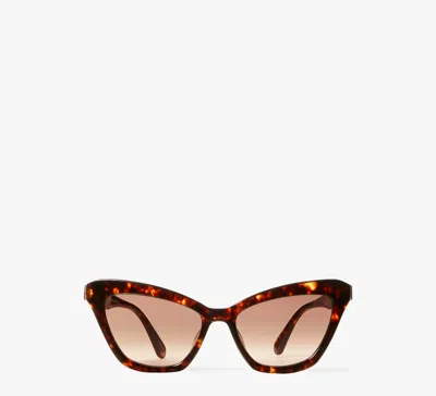 Kate Spade Amelie Sunglasses In Brown