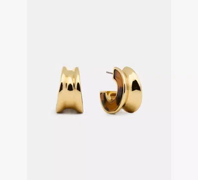 Kate Spade Bold Small Hoops In Brown