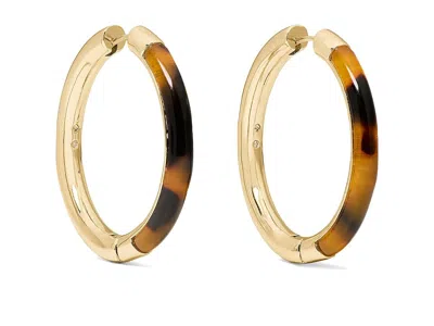 Kate Spade New York Mixed Hoop Earrings In Brown