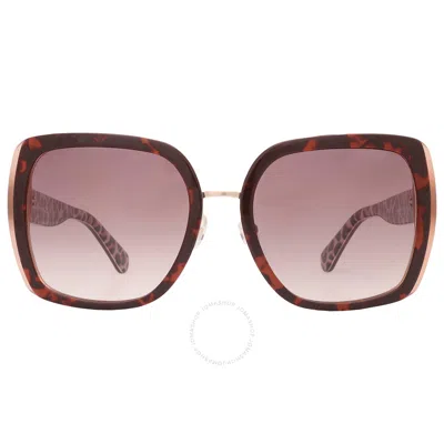Kate Spade Brown Gradient Square Unisex Sunglasses Kimber/g/s 0086/ha 56 In Burgundy