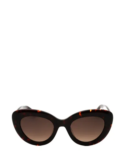 Kate Spade Capri Cat-eye Sunglasses In Transparent