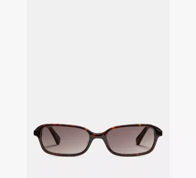 Kate Spade Carolina Sunglasses In Brown