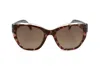 Kate Spade Yolanda/s Ha Yn2 Cat Eye Sunglasses In Brown