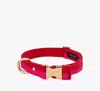 Kate Spade Colorblock Collar In Colorblock