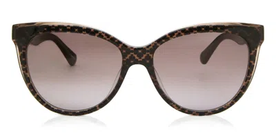 Kate Spade Daesha/s 305/ha Women's Sunglasses Brown Size 56