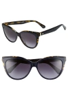 Kate Spade Daeshas 56mm Gradient Cat Eye Sunglasses In Blue Havana