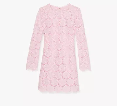 Kate Spade Daisy Lace Dress In Pink Lemonade