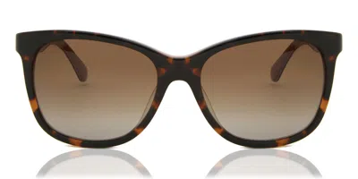Kate Spade Danalyn/s Polarized 086/la Women's Sunglasses Tortoiseshell Size 54 In Brown
