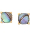 Kate Spade Gold-tone Color Cubic Zirconia Stud Earrings In Abalone,gold