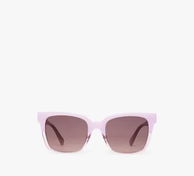 Kate Spade Harlow Sunglasses In Pink