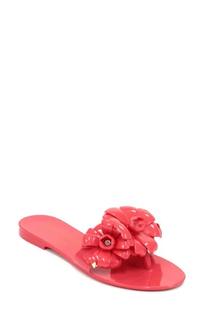 Kate Spade Women's Jaylee Floral Jelly Sandals In Ponderosa Red