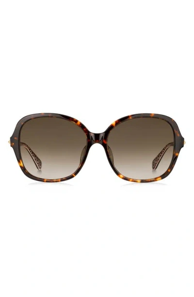 Kate Spade Kaiya 57mm Sunglasses In Havana/ Brown