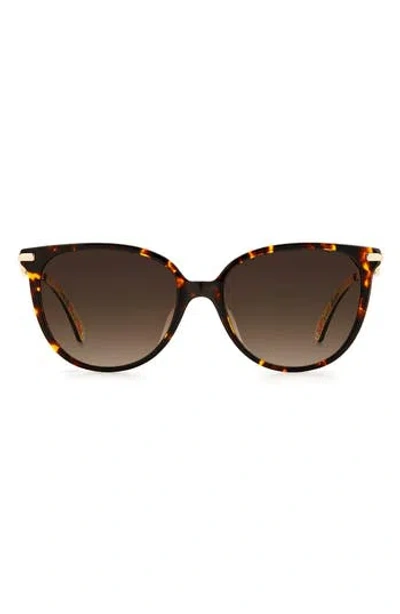 Kate Spade Kristina Sunglasses In Red
