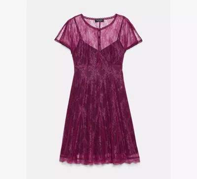 Kate Spade Lurex Lace Short Sleeve Mini Dress In Burgundy