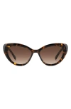 Kate Spade New York Marlah's 53mm Gradient Cat Eye Sunglasses In Havana/ Brown Gradient