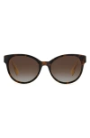Kate Spade Nathalie 55mm Gradient Round Sunglasses In Brown