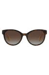 Kate Spade New York Nathalie 55mm Gradient Round Sunglasses In Black
