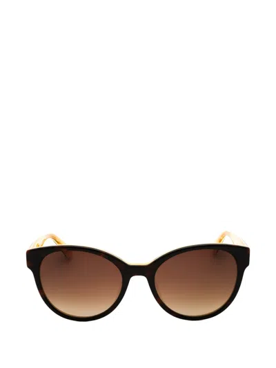 Kate Spade Nathalie Cat-eye Frame Sunglasses In Brown
