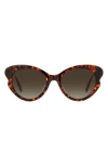Kate Spade New York Paisleigh 55mm Gradient Cat Eye Sunglasses In Havana/brown Gradient