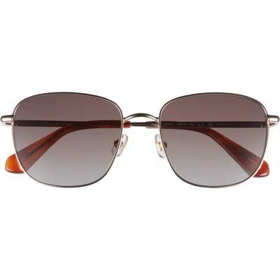 Kate Spade New York 53mm Kiyah Square Sunglasses In Havana Gold/brwn Fuschia Ms