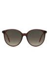 Kate Spade New York 56mm Kaiafs Round Sunglasses In Burgundy