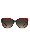 Kate Spade New York 57mm Lorene Cat Eye Sunglasses In Havana/brown Gradient