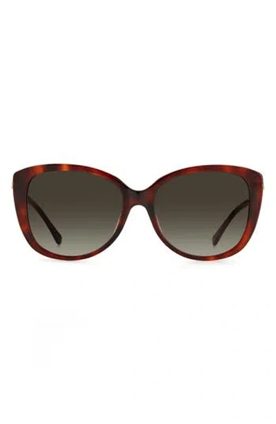 Kate Spade New York 57mm Lorene Cat Eye Sunglasses In Havana/brown Gradient