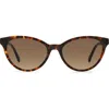 Kate Spade New York Adeline 55mm Gradient Cat Eye Sunglasses In Brown