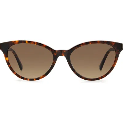 Kate Spade New York Adeline 55mm Gradient Cat Eye Sunglasses In Brown