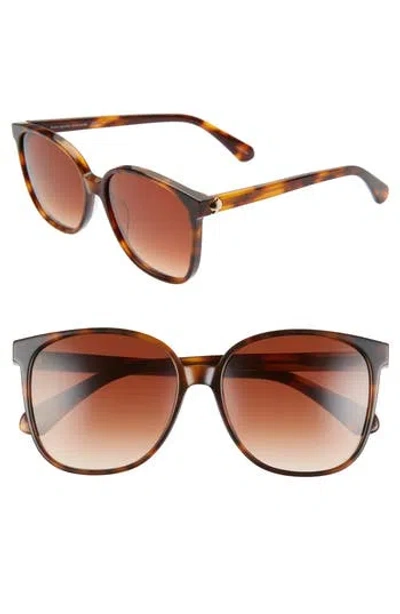 Kate Spade New York Alianna 56mm Rounded Cat Eye Sunglasses In Havana/brown