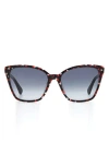 Kate Spade New York Amiyah 56mm Gradient Cat Eye Sunglasses In Blue