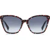 Kate Spade Amiyah 56mm Gradient Polarized Cat Eye Sunglasses In Z/dnupurple/grey Shaded