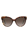 Kate Spade New York Aubriella 55mm Cat Eye Sunglasses In Brown
