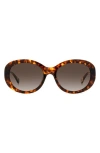 Kate Spade Avah 56mm Gradient Round Sunglasses In Havana/brown Gradient