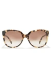 Kate Spade New York 'bayleigh' 55mm Sunglasses In Havana Honey/brown Fuschia Ms