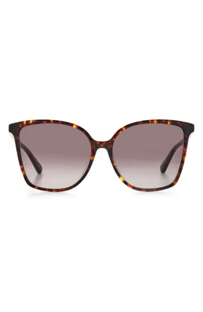 Kate Spade New York Brigitte 58mm Gradient Cat Eye Sunglasses In Brown