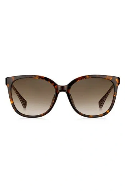 Kate Spade New York Britton 55mm Square Sunglasses In Brown